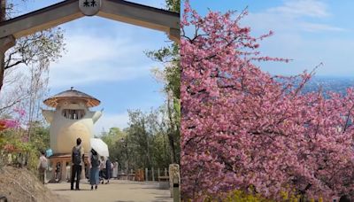 Travelers crown Japan best country in the world for 2nd straight year