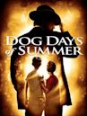 Dog Days of Summer (film)