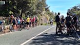 Peligro en la Ma-10: los cicloturistas invaden la carretera en el Coll de Femenia