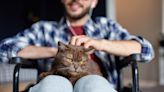 Disabled Man's Cat Begs Him To Get in Wheelchair So He Can Snuggle on His Lap