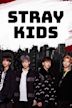 Stray Kids