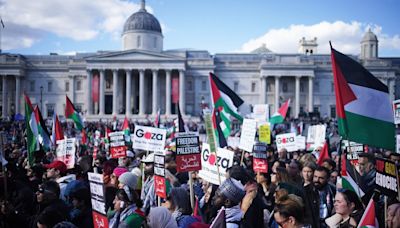 Gaza protests in London cost Met police £40 million as more than 300 arrested