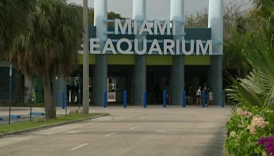 Miami Seaquarium owner files federal lawsuit against Miami-Dade County