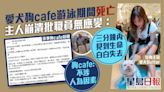 帶愛犬游水消暑變死亡之旅 狗主轟狗cafe職員應變不足誓追究到底