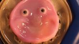 Scientists attach living skin to robots to make them smile