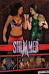 Shimmer Volume 23