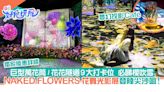 NAKED FLOWERS花舞光影展來港9大打卡位！5米花の書/夢幻投影Café