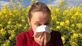Alergias en España: consulta el mapa de los niveles de polen y el pronóstico para primavera