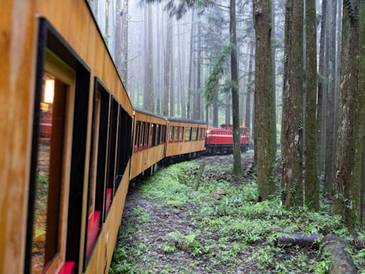 藝文美學觀光列車「福森號」7/28首航 搭乘「移動的檜木美術館」悠遊阿里山 - 自由藝文網