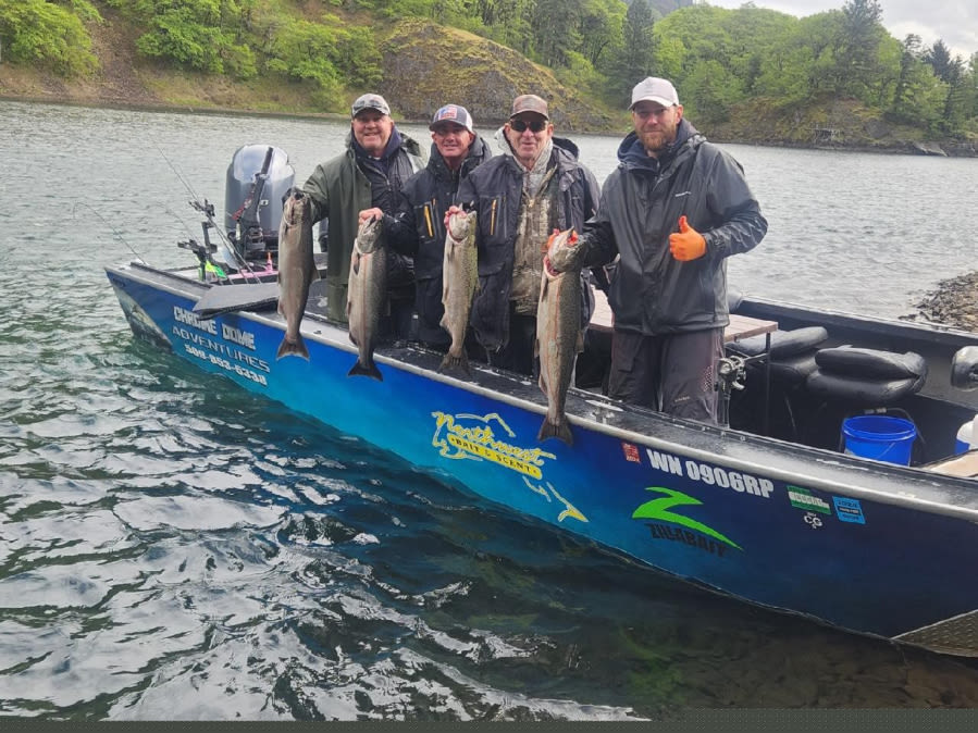 Spring Chinook head down to Drano