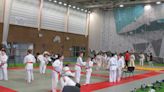 Le Lion-d'Angers. Une réussite pour les interclubs de judo | Courrier de l'Ouest