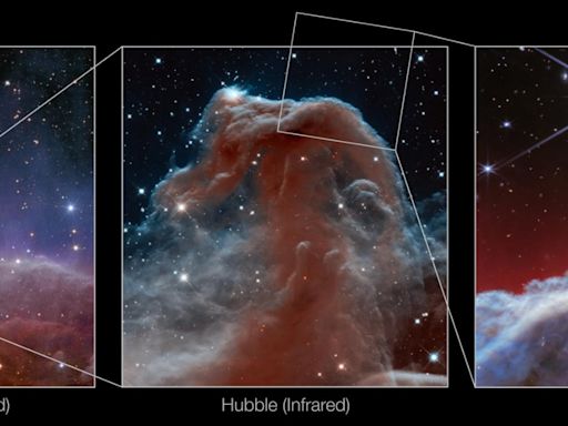 Telescopio espacial James Webb capta la nebulosa “cabeza de caballo” con un detalle sin precedentes