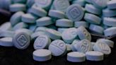 208 pounds of fentanyl pills seized in Kentucky last year - The Advocate-Messenger