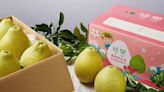 柚樂果園–麻豆文旦禮盒、台南柚子宅配推薦