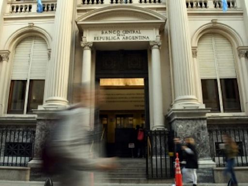 El BCRA refuerza sus Reservas, pero analistas alertan por la deuda con los importadores: qué anticipan para el dólar