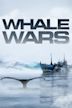 Whale Wars