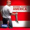 Bizarre Foods America