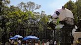 Picnic nocturno en Chapultepec, el plan ideal para Semana Santa