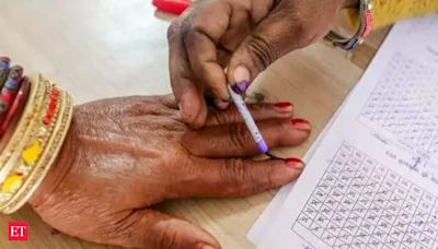 13 candidates in fray for Himachal bypolls, 2 Independents withdraw