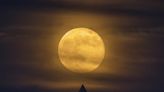 Luna de Fresa 2024: cuándo y cómo ver la luna llena de junio