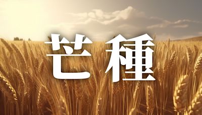 24節氣芒種：習俗、禁忌、諺語、天氣、養生重點一次看