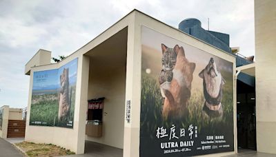 屏東看海美術館 貓 X 狗 極度日常 Ultra Daily | 蕃新聞