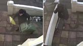 Watch: Christmas parcel stolen from doorstep minutes after Evri driver hid it under bin