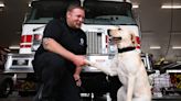 New arson dog brings expertise to Spokane County fire investigations