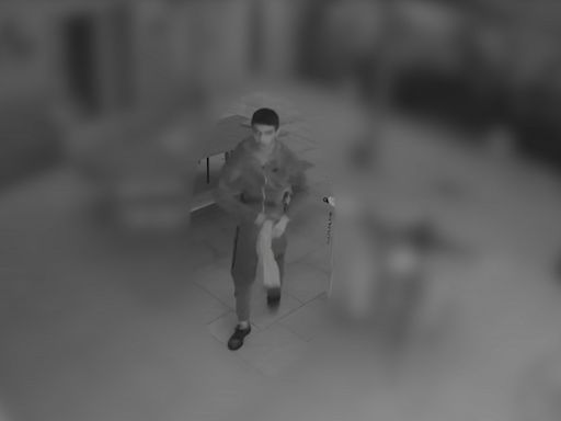 Police release CCTV, increase patrols in the hunt for armed man targeting women in Sydney