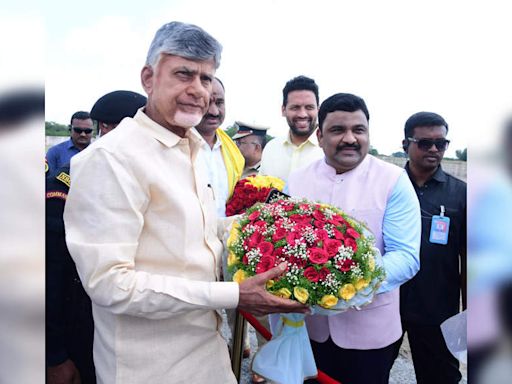 Resolve to make state Swach Andhra Pradesh by 2029: CM Chandrababu Naidu tells people | India News - Times of India