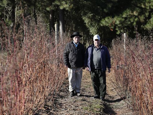 Campesinos expulsados por Colonia Dignidad, "víctimas invisibles" de Schäfer y Pinochet