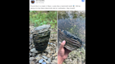 Hiker pulls ancient mammoth tooth out of creek in Texas, photos show