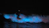 New study details downside of bioluminescence along SoCal coast