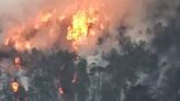 Incendio forestal en Tetela de Ocampo se reporta fuera de control