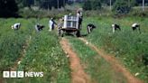 Death of Indian man in Italy highlights workers' exploitation