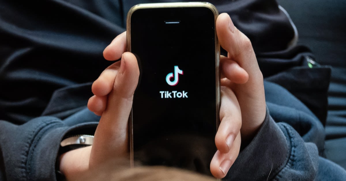 TikTok faces skeptical judges in hearing over potential ban