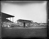 Pelican Stadium