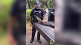 Florida deputy chomps at the bit to wrangle gator from 104-year-old woman’s home: 'We can't cuff him'