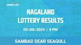 Nagaland Sambad Lottery Dear Seagull Friday 8 PM Winners July 5 - Check Results