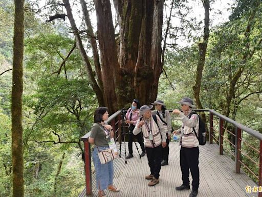 雲霧限定好康！「拉拉山生態旅遊FB粉專」抽好禮