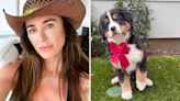 'Real Housewives of Beverly Hills' Star Kyle Richards Welcomes Bernese Mountain Dog and Asks for Help Naming Him