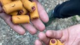 Authorities Warn of Fish Hooks Found in Dog Treats on Appalachian Trail: 'Deadly to Any Animal'