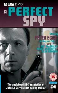 A Perfect Spy (TV series)