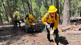 Shasta-Trinity National Forest crews practice for readiness reviews