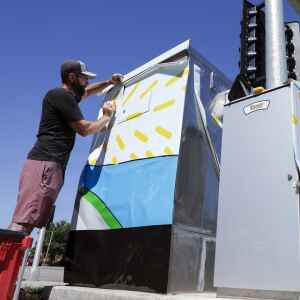 Photos: Cedar Rapids project aims to bring beauty to traffic signal boxes