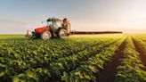 Alerta por menos dólares provenientes del campo: ¿cuántas divisas podrían entrar al Banco Central este año?