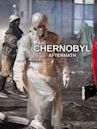 Chernobyl: Aftermath