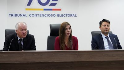 Jueces electorales alertan de un posible conflicto de interés en el trámite de la acción de protección de Fernando Muñoz