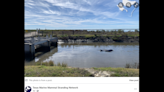 Mom, son dolphins get trapped in shallow water with ‘limited food,’ Texas photos show