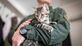 Military Appreciation Month at Humane Society of Greater Dayton
